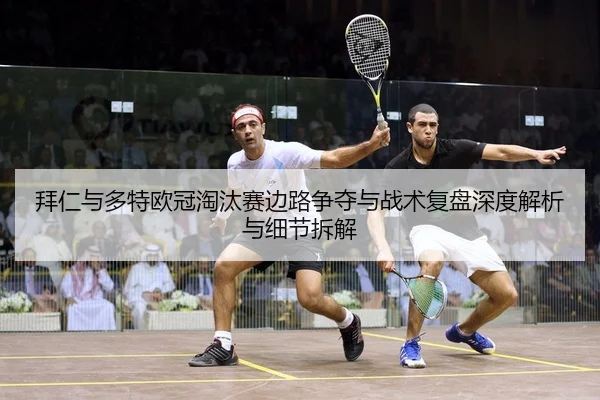 bai-ren-yu-duo-te-ou-guan-tao-tai-sai-bian-lu-zheng-duo-yu-zhan-shu-fu-pan-shen-du-jie-xi-yu-xi-jie-chai-jie-2-386.jpg