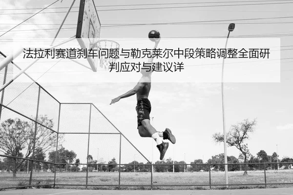 fa-la-li-sai-dao-sha-che-wen-ti-yu-lei-ke-lai-er-zhong-duan-ce-lve-tiao-zheng-quan-mian-yan-pan-ying-dui-yu-jian-yi-2-817.jpg